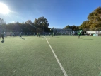 CCL8