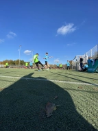 CCL12
