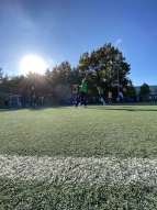 CCL5