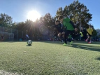 CCL3